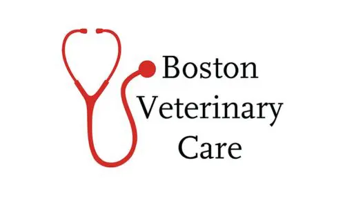 Clinic partner